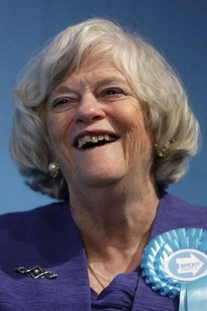 Ann Widdecombe - Actor Profile Photo