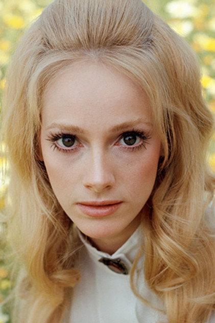 Sondra Locke - Actor Profile Photo