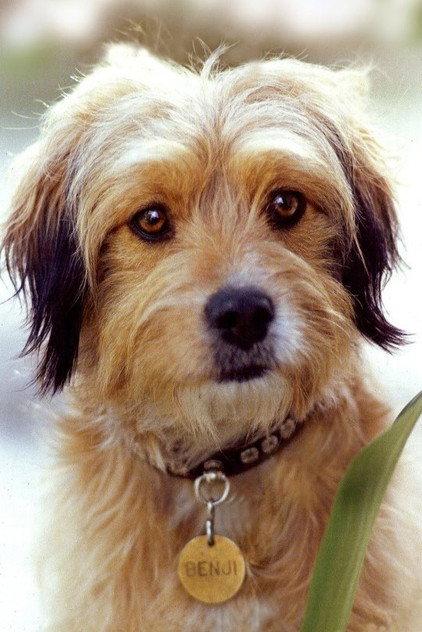 Benjean - Actor Profile Photo