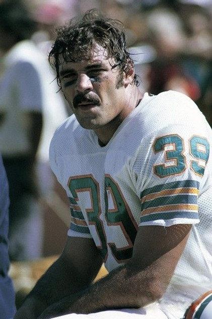 Larry Csonka - Actor Profile Photo