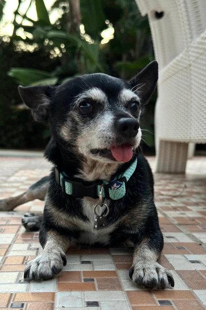 Cuki - Actor Profile Photo