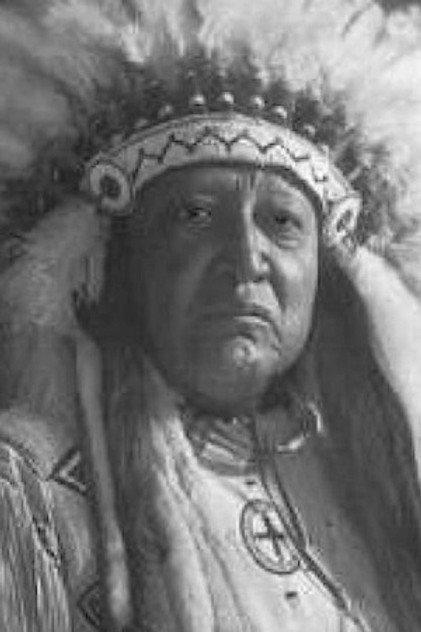 Chief Thunderbird - Actor Profile Photo