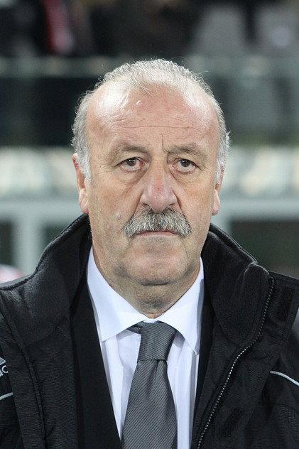 Vicente del Bosque - Actor Profile Photo