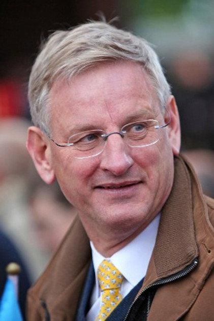 Carl Bildt - Actor Profile Photo