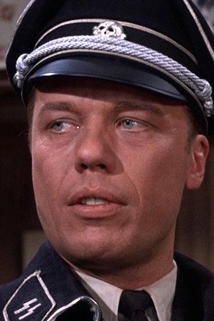 Todd Martin - Actor Profile Photo