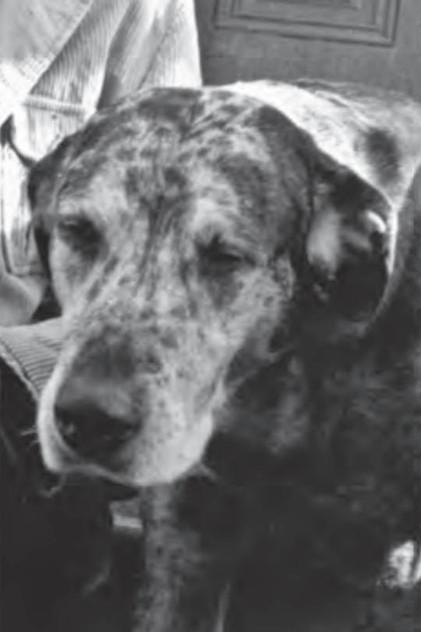 Bocko - Actor Profile Photo