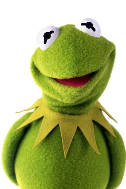 Kermit the Frog - Actor Profile Photo