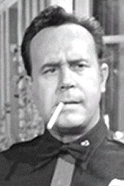 Don Shelton - Actor Profile Photo
