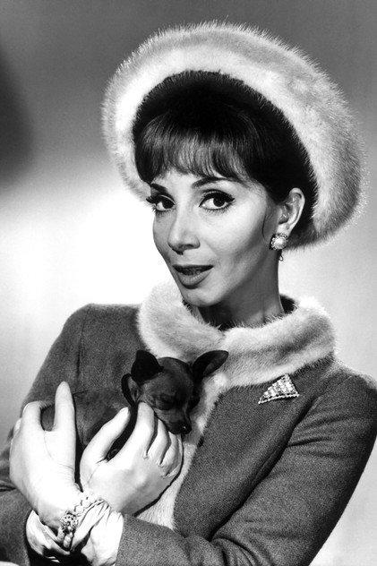 Andréa Parisy - Actor Profile Photo