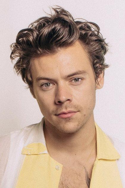 Harry Styles - Actor Profile Photo