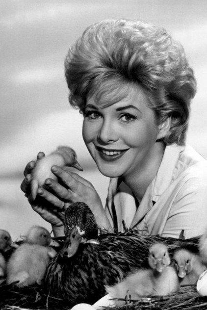 Jan Shepard - Actor Profile Photo