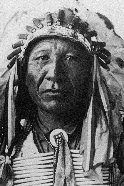 William Eagle Shirt - Actor Profile Photo