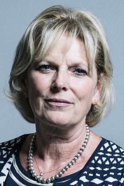 Anna Soubry - Actor Profile Photo