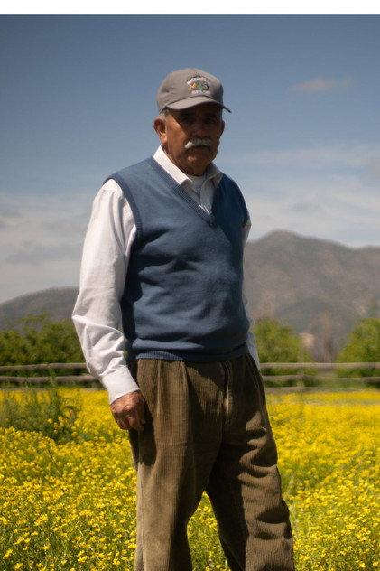 Reinaldo Rojas - Actor Profile Photo