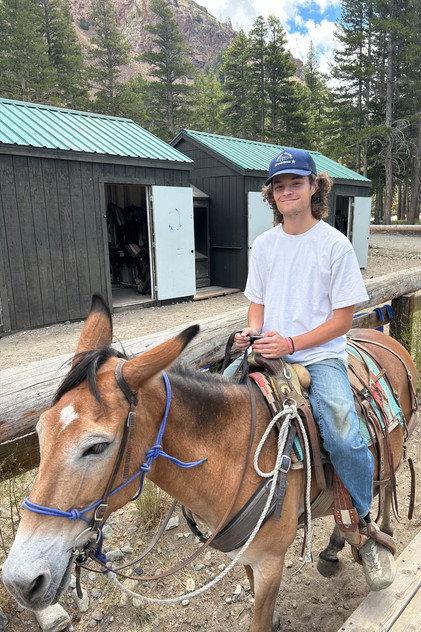 Jack Calvert - Actor Profile Photo