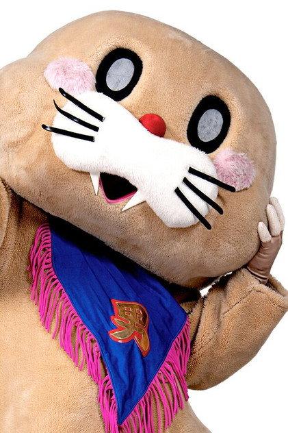 Pokotan - Actor Profile Photo