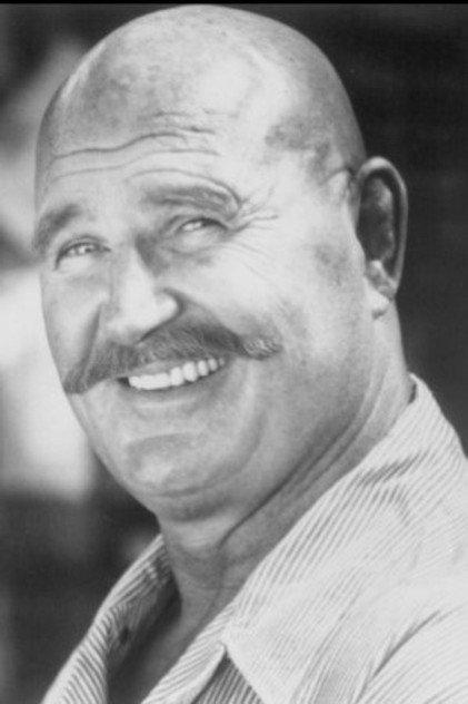 H.B. Haggerty - Actor Profile Photo