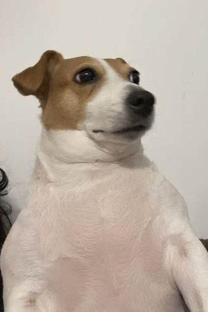 Bigot1s - Actor Profile Photo