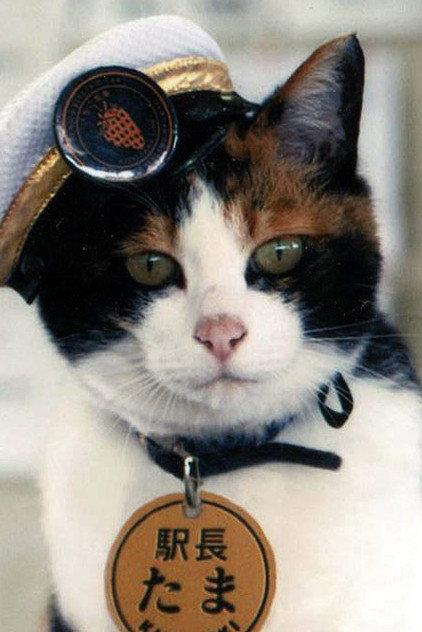 Tama - Actor Profile Photo