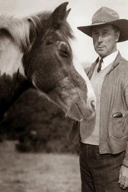 Fritz the Horse - Actor Profile Photo