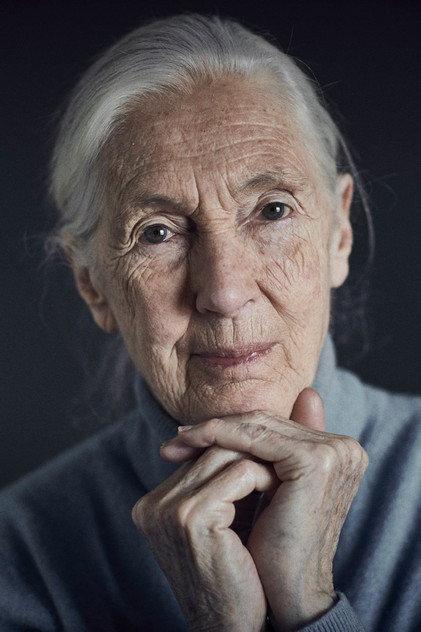 Jane Goodall - Actor Profile Photo