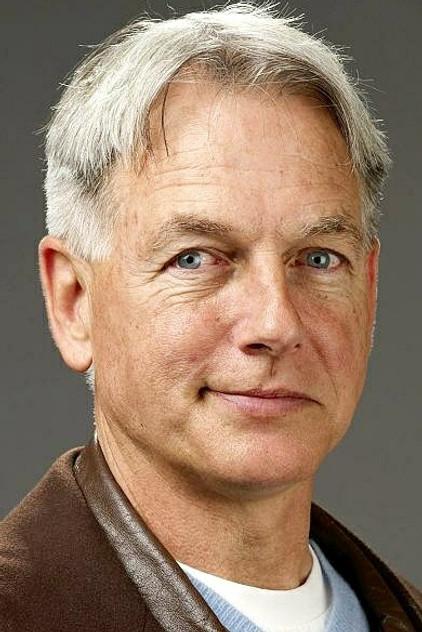 Mark Harmon - Actor Profile Photo