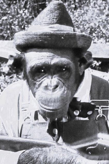 Snooky - Actor Profile Photo