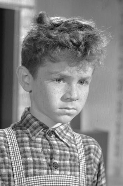 Ludwik Halicz - Actor Profile Photo