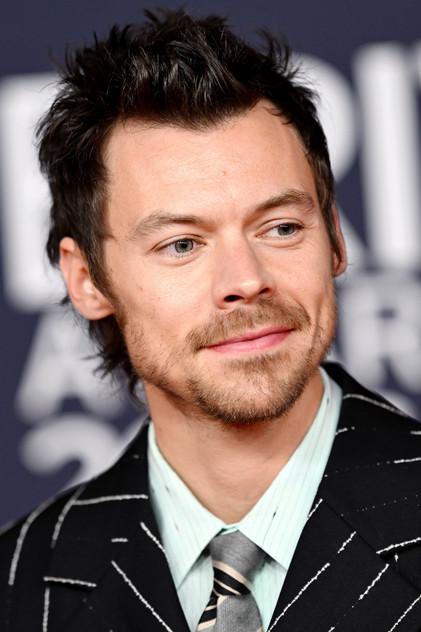 Harry Styles - Actor Profile Photo