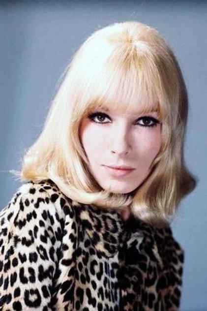 Dany Saval - Actor Profile Photo