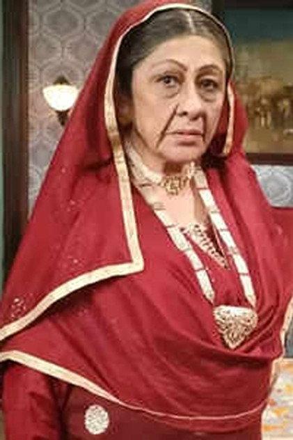 Veena Kapur - Actor Profile Photo