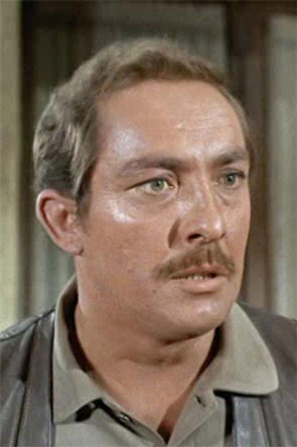 Steve Ihnat - Actor Profile Photo