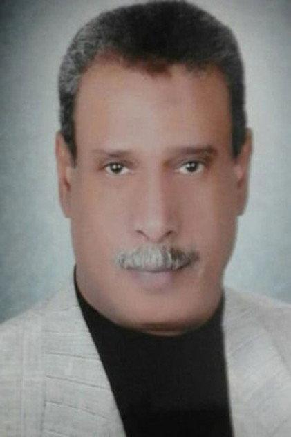 Mahmoud Bashir - Actor Profile Photo