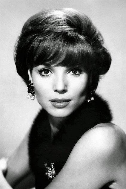 Elsa Martinelli - Actor Profile Photo