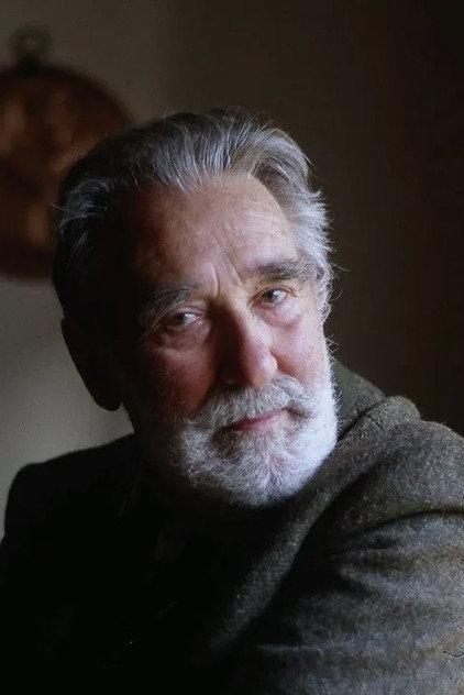 Mario Rigoni Stern - Actor Profile Photo