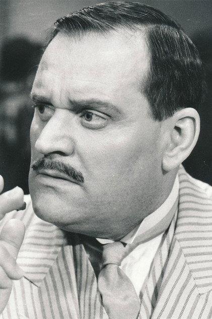 Ilja Prachař - Actor Profile Photo