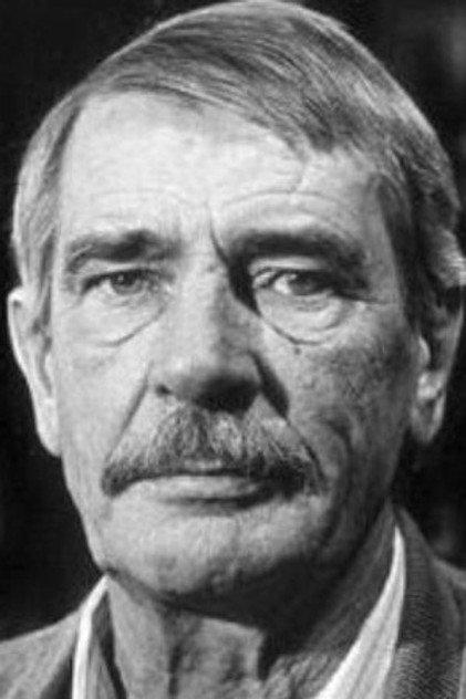 Ton Lensink - Actor Profile Photo