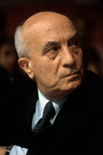Amintore Fanfani - Actor Profile Photo