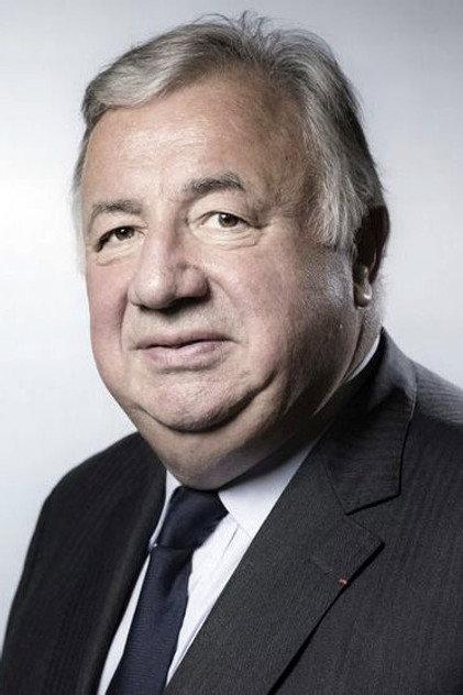 Gérard Larcher - Actor Profile Photo