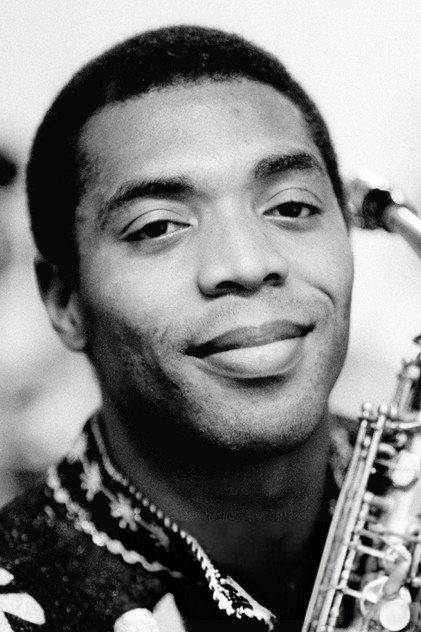 Femi Kuti - Actor Profile Photo