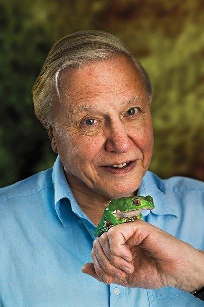 David Attenborough - Actor Profile Photo