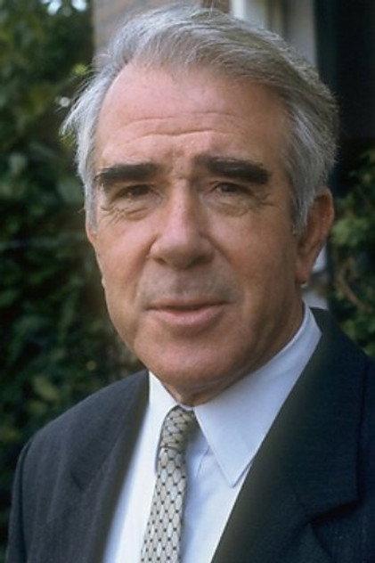 Wim Van den Heuvel - Actor Profile Photo