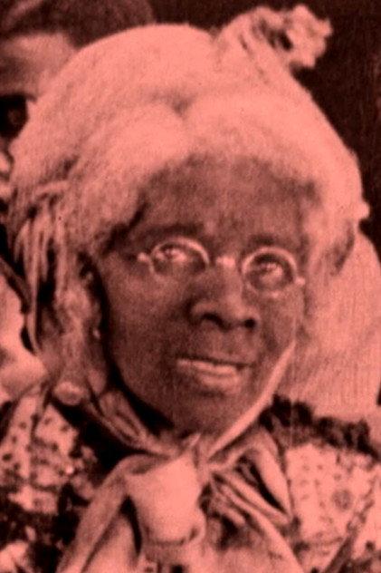 Madame Robinson - Actor Profile Photo