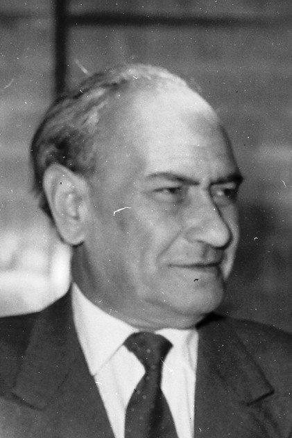 Sándor Kőmíves - Actor Profile Photo