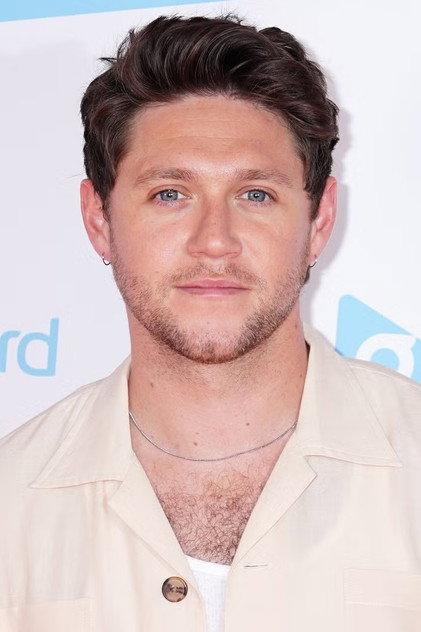 Niall Horan - Actor Profile Photo