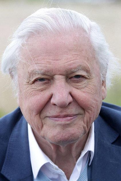 David Attenborough - Actor Profile Photo