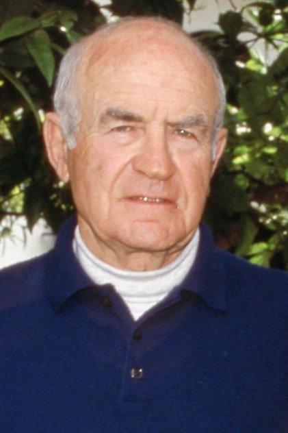 Peter Viertel - Actor Profile Photo