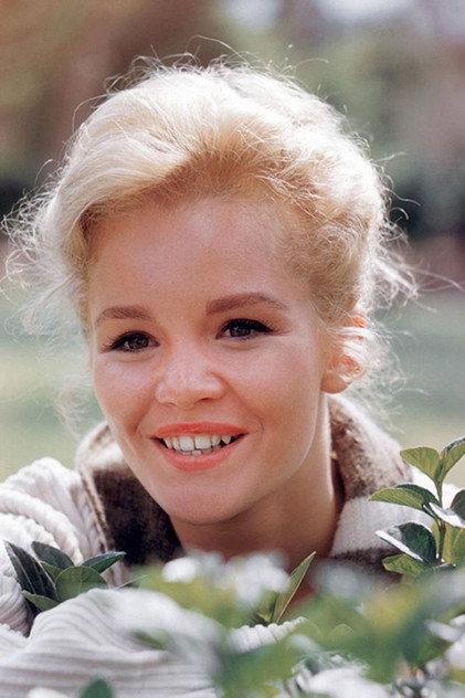 Tuesday Weld - Actor Profile Photo