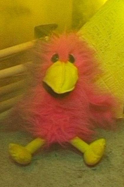 Pauline Bird - Actor Profile Photo