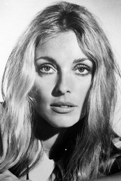 Sharon Tate - Actor Profile Photo